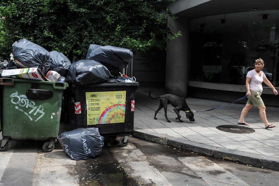 La Ciudad deja de recolectar la basura de bares y restaurantes
