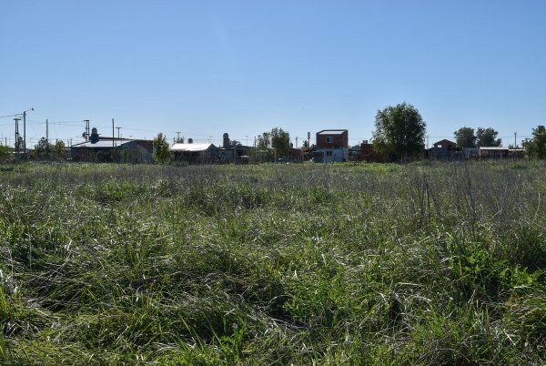 OBRAS PARA EVITAR ANEGAMIENTOS EN LOS BARRIOS SAN CAYETANO Y ALGARROBO