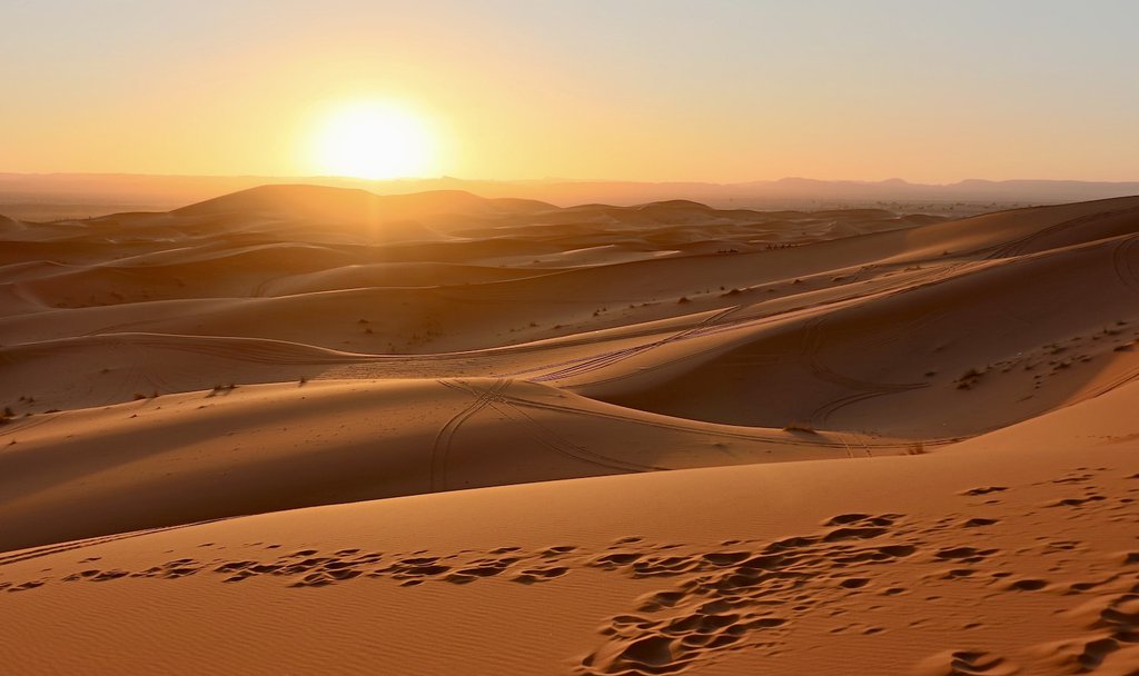 El desierto y los escándalos del 2023 63b85053bc404.jpeg