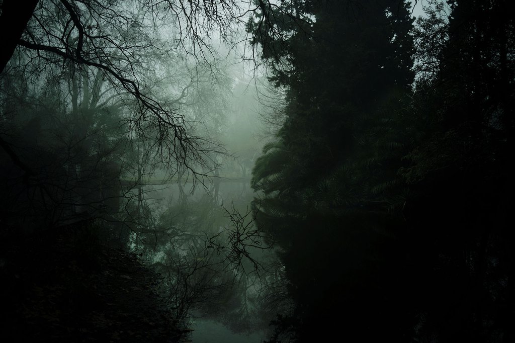 2023, el año de la niebla 63e26bfd7783d.jpeg