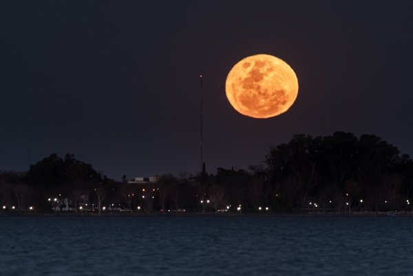 SE REALIZÓ LA AVENTURA A LA LUZ DE LA LUNA EN EL MUSEO PAMPEANO