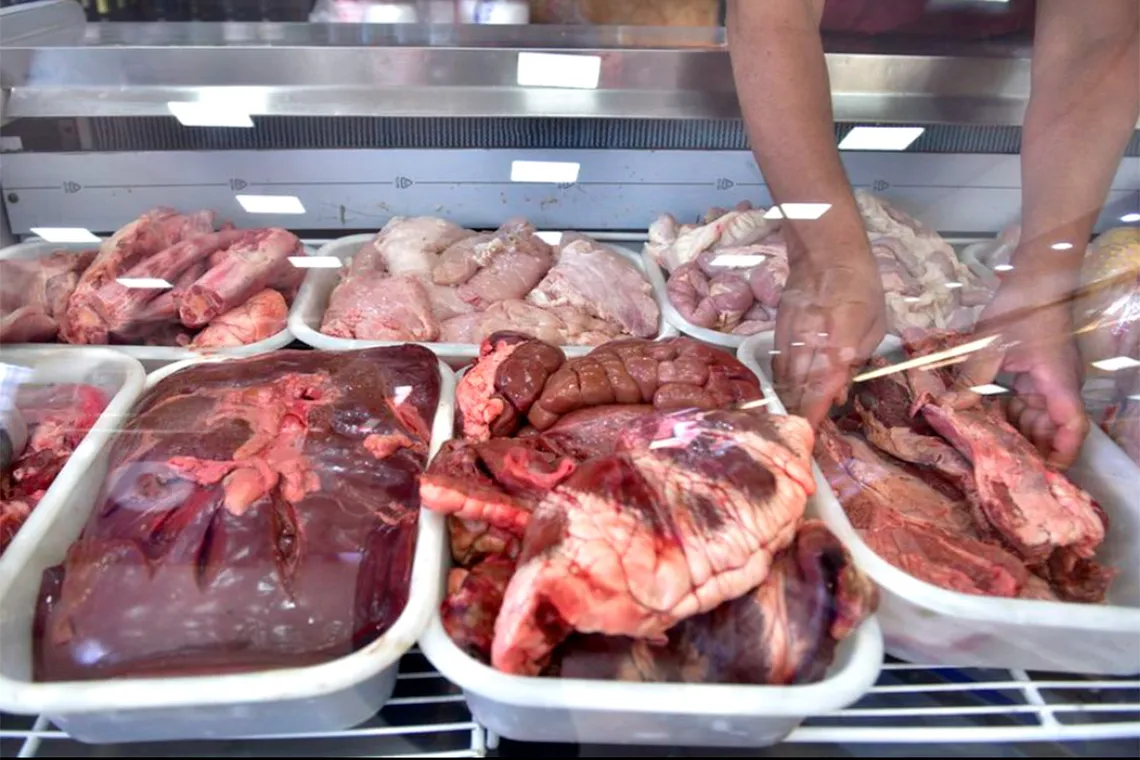 Confirman leptospirosis y salmonelosis en las intoxicaciones