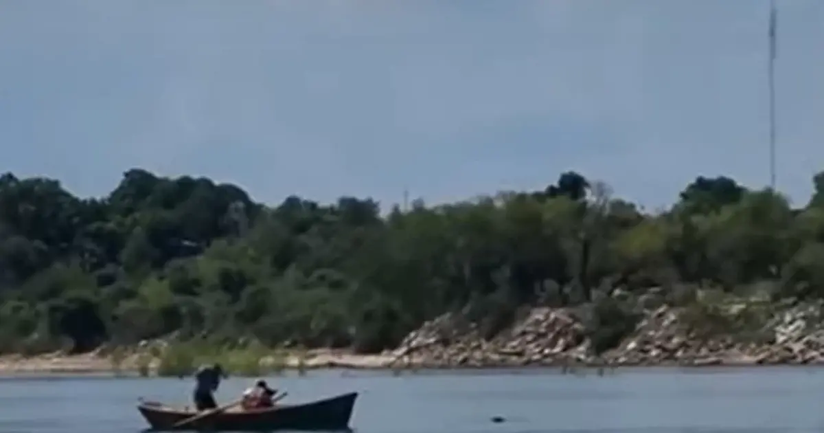 El video más triste: abandonaron a un perrito en el río y se ahogó intentando volver con sus dueños 63dc5123585d1.webp