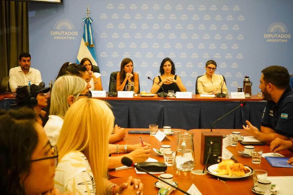 Moratoria previsional