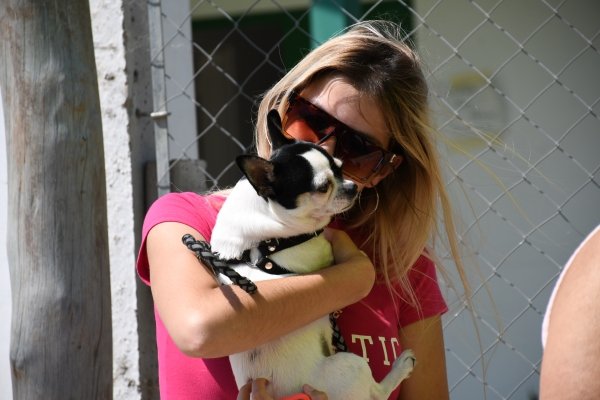 ENCUENTRO DE CONCIENTIZACIÓN SOBRE LA IMPORTANCIA DE PROTEGER Y RESPETAR A LOS ANIMALES