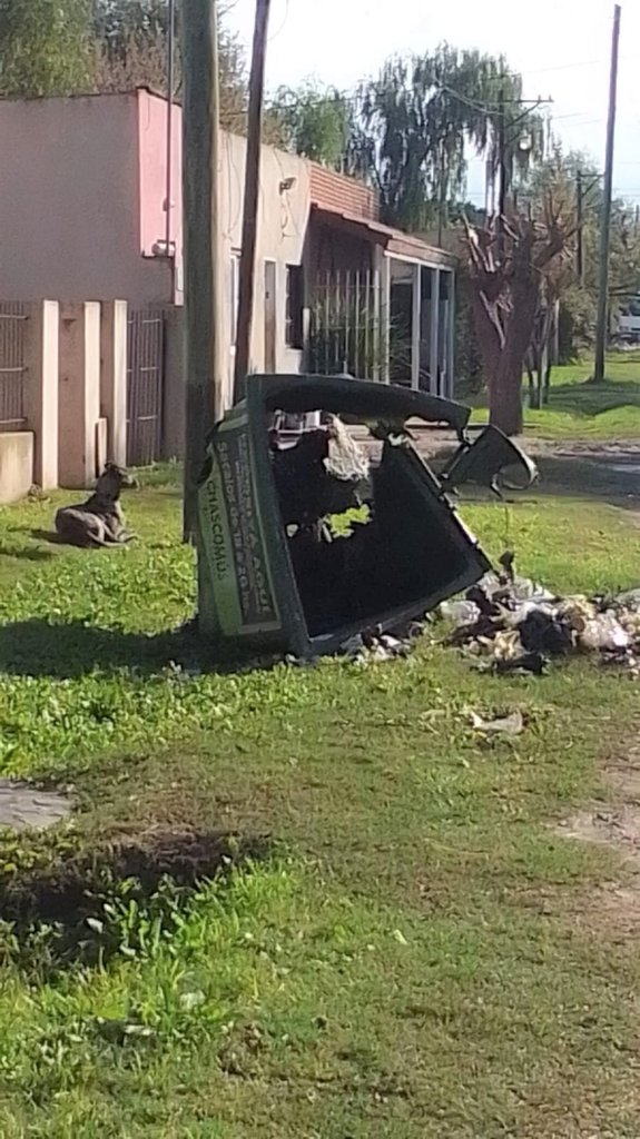 RECOMENDACIONES GENERALES PARA EL CUIDADO INTEGRAL DE LOS CONTENEDORES DE RESIDUOS