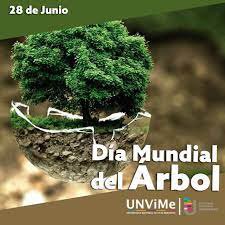 28 DE JUNIO, DÍA MUNDIAL DEL ÁRBOL