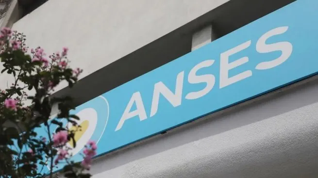 ANSES cuándo