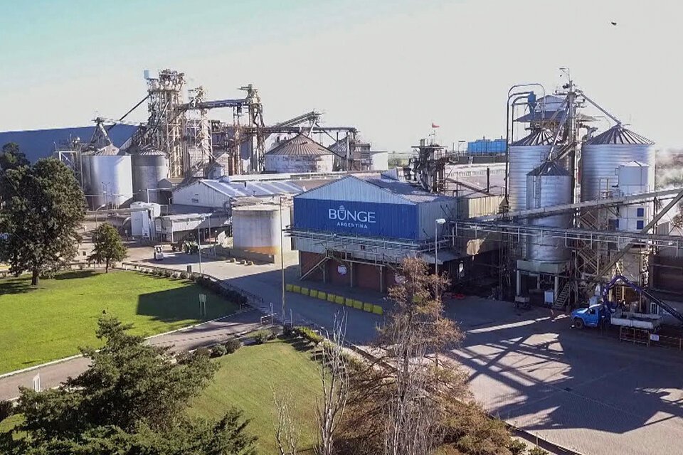 Bunge compra Viterra