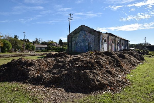 CHIPEADO DE MATERIAL ORGÁNICO