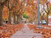 EN OTOÑO CHASCOMÚS PRESENTA SUS ENCANTOS