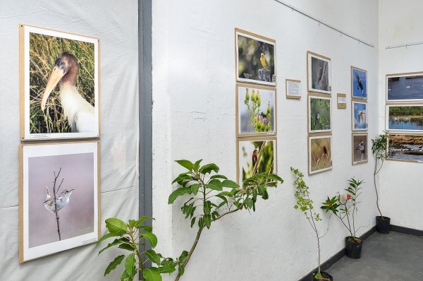 EXHIBICIÓN DEL MUSEO DE ARTE NATURAL DE OTOÑO