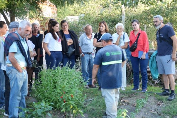 INICIATIVAS QUE FORTALECEN LA ALIMENTACIÓN SANA, SEGURA Y SOBERANA