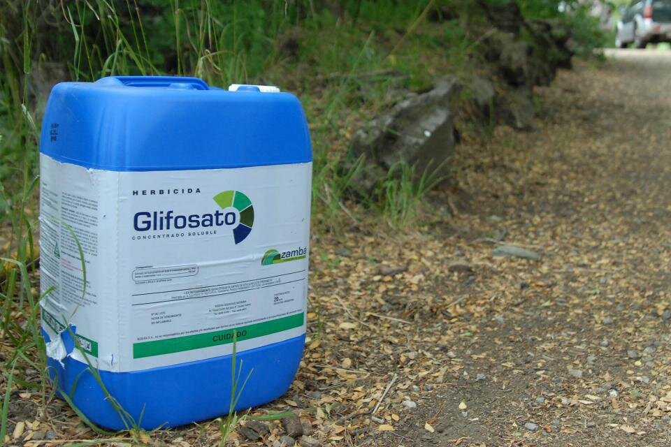 Glifosato