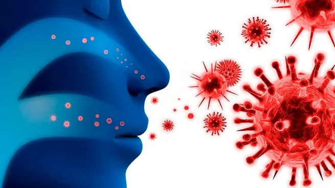 Alerta por el Streptococcus pyogenes