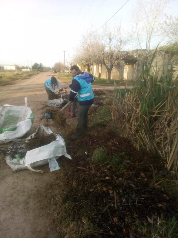 CONTINÚAN LOS OPERATIVOS DE SANEAMIENTO EN BARRIOS DE NUESTRA CIUDAD