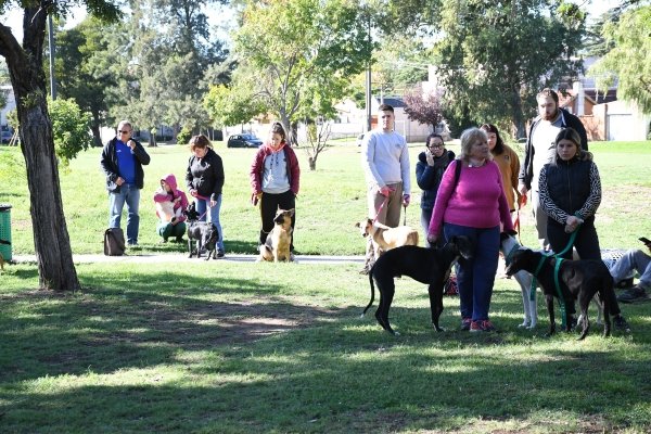 MASCOTAS PARA SU POSTERIOR CASTRACIÓN
