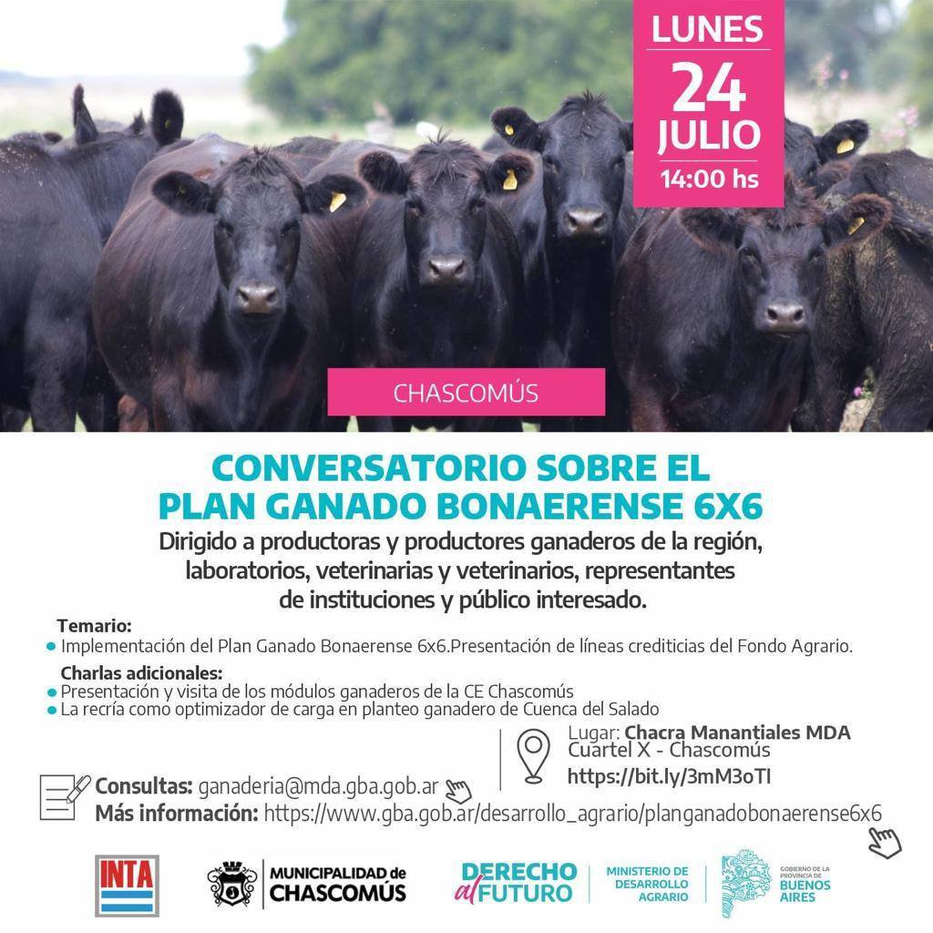 PLAN GANADO BONAERENSE 6X6