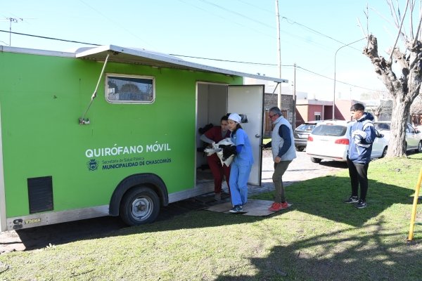 CASTRACIÓN GRATUITA