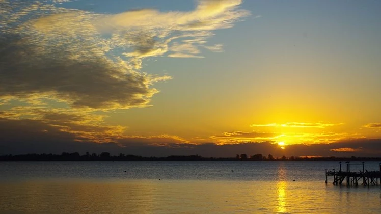 CONVOCATORIA PARA ELEGIR EL AVE EMBLEMA DE CHASCOMÚS