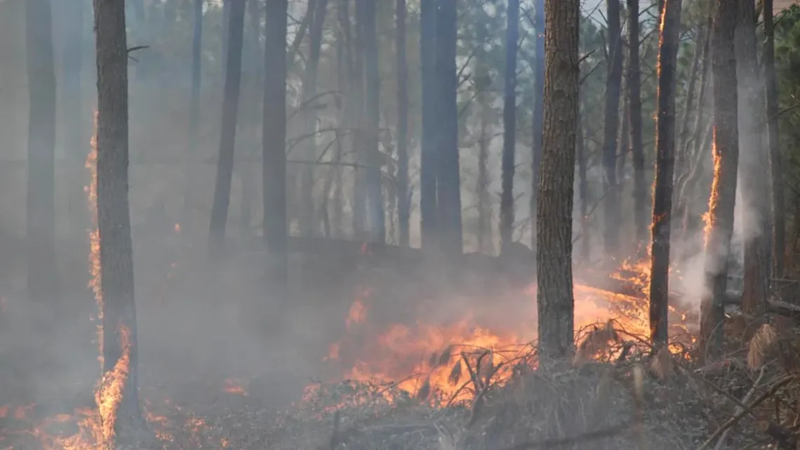 Incendios en Córdoba