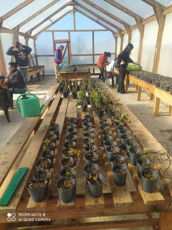 LA PLANTINERA DEL CENTRO DE DÍA YA TIENE SU PRIMERA PRODUCCIÓN