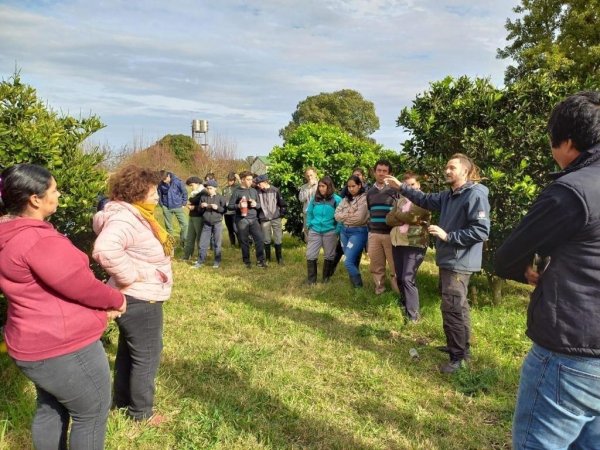 SE CONTINÚA PROMOVIENDO EL COMPOST PARA HUERTAS FAMILIARES