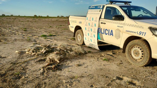DECOMISAN REDES DE PESCA NO AUTORIZADA EN LA LAGUNA LA LIMPIA