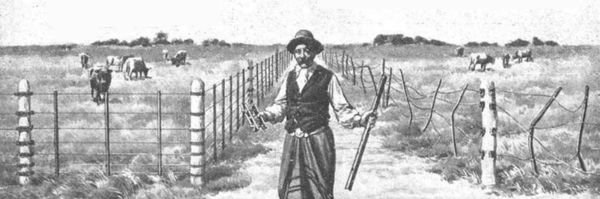 HISTORIA DEL ALAMBRADO