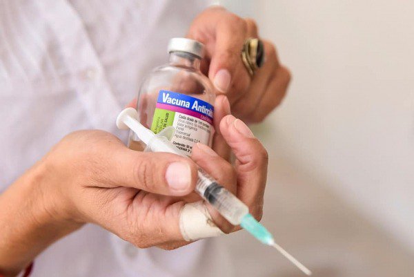 BLOQUEO SANITARIO EN EL BARRIO FÁTIMA TRAS DETECTARSE UN MURCIÉLAGO CON RABIA