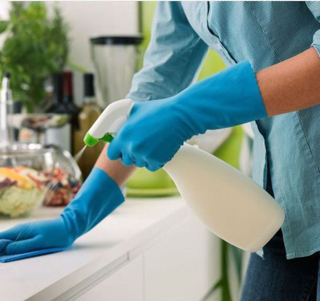 Empleadas De Casas Particulares