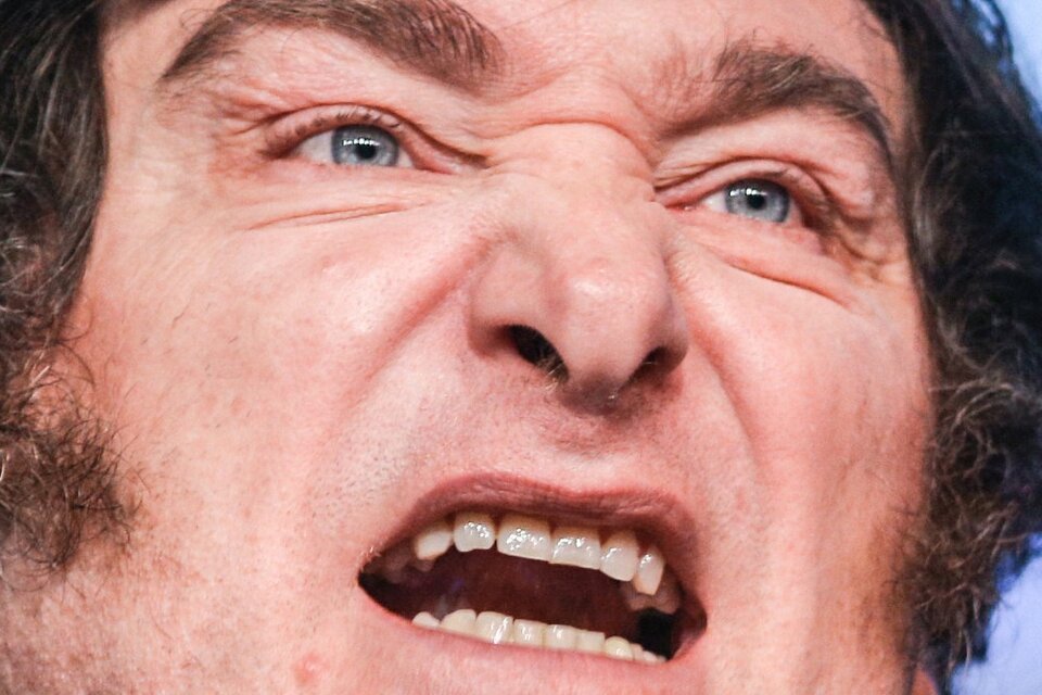 Javier Milei, Un Roto Para Los Descosidos