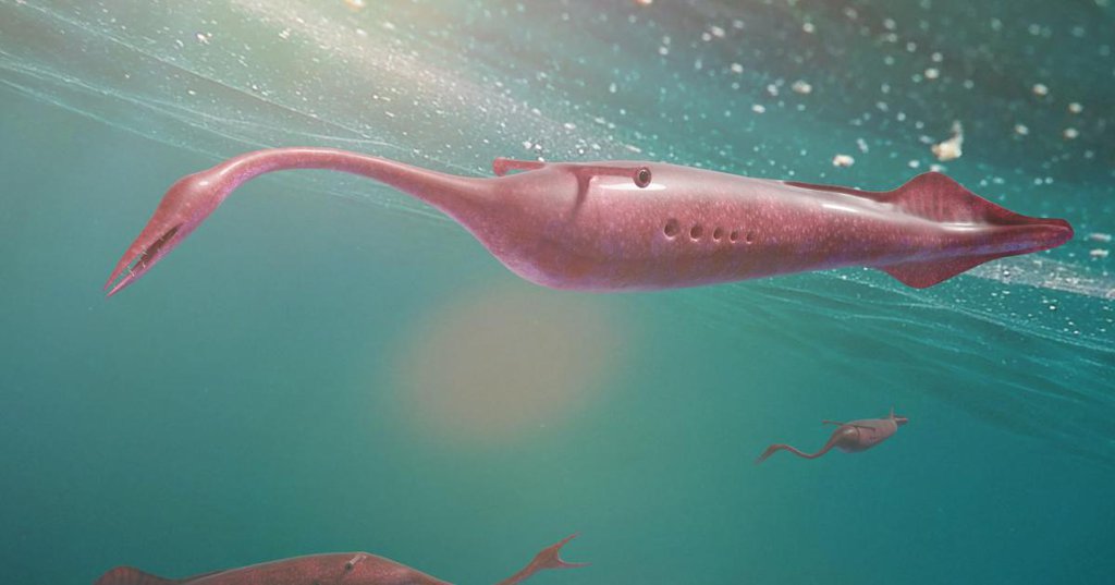 Así Se Descubren Los Secretos Ocultos De Fósiles Y Artefactos Históricos, Con Partículas Subatómicas 6550dfc198d8f.jpeg