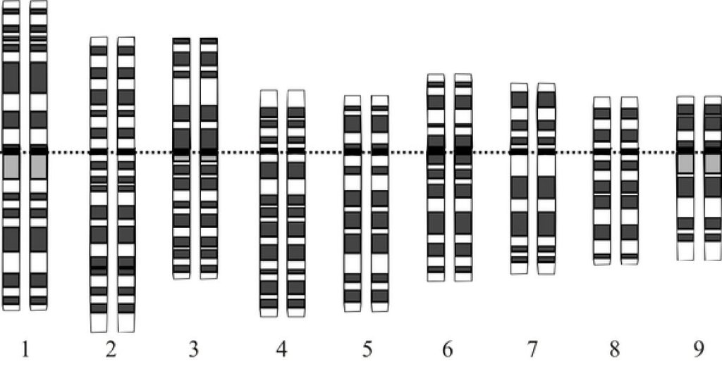 Hoy En La Historia: Unesco Aprueba Declaración Universal Sobre El Genoma Humano 654f91ea65a19.jpeg