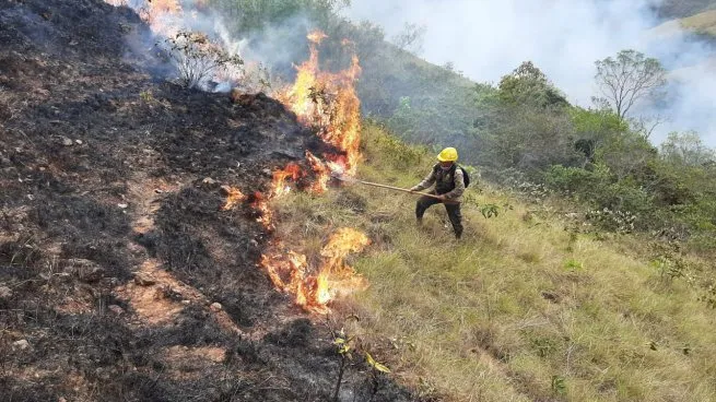 Incendios Forestales