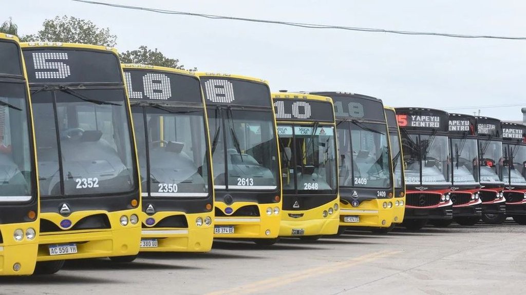 Servicios De Colectivos