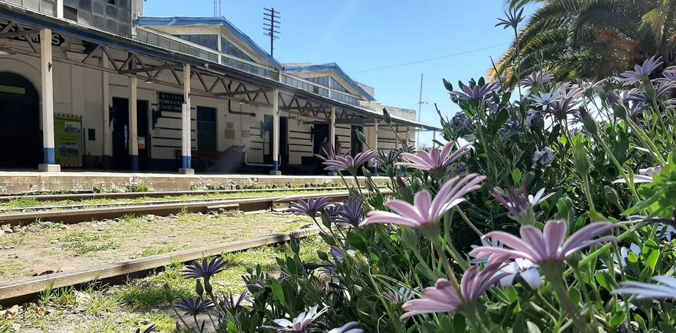 Centro Cultural Municipal Vieja EstaciÓn Homenaje Al 50º Aniversario De La Escuela De Judo ChascomÚs