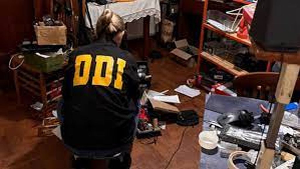 Desbaratan Una Red Internacional De Pedofilia