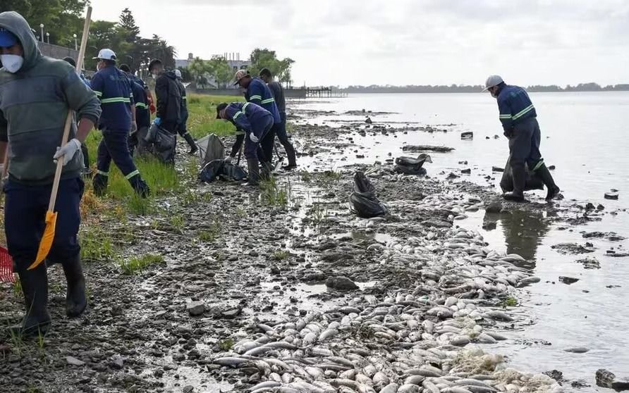 La Mortandad De Peces