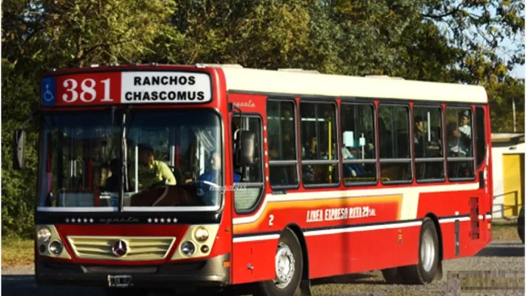 Servicio De La Linea 381