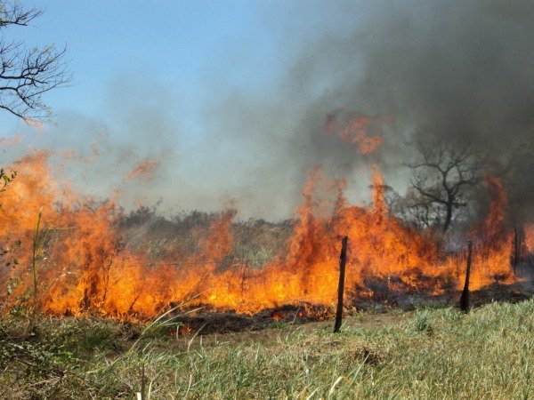 10 Recomendaciones A La Hora De Evitar Incendios