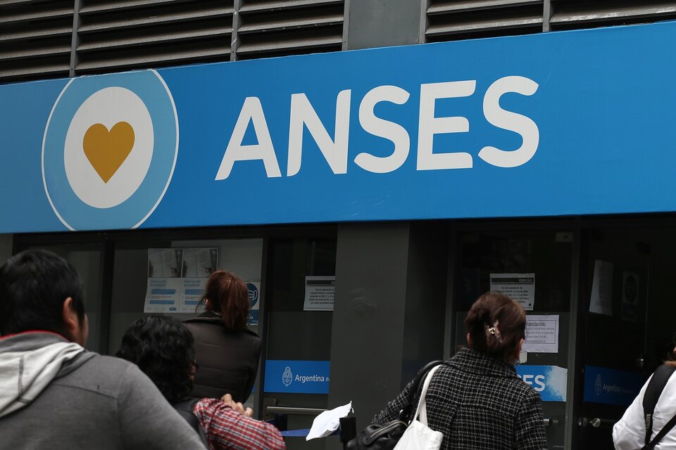 Despidos En Anses