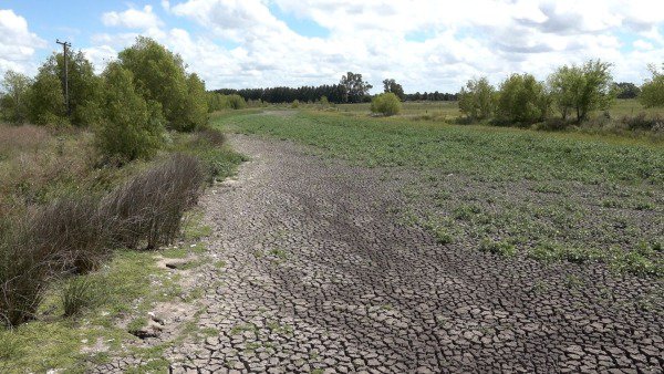 Emergencia Agropecuaria