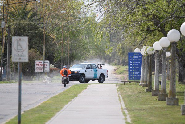 FumigaciÓn Y Control De Plagas En Espacios PÚblicos De La Ciudad