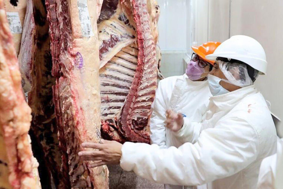 Habilitan La Exportación De Todos Los Cortes De Carne