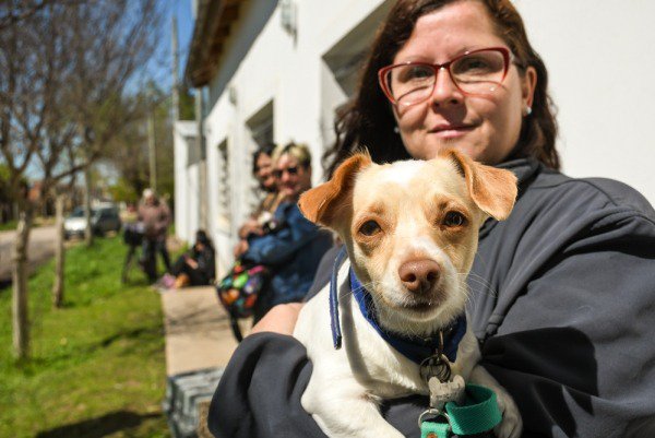 La Municipalidad Tuvo Una Importante IntervenciÓn En La CastraciÓn Y VacunaciÓn AntirrÁbica De Animales