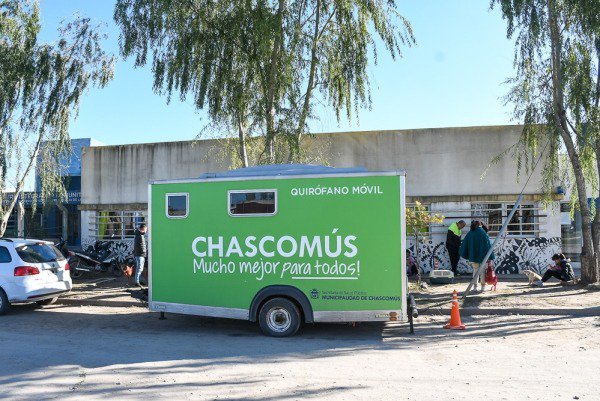 DÍa De La EsterilizaciÓn Animal