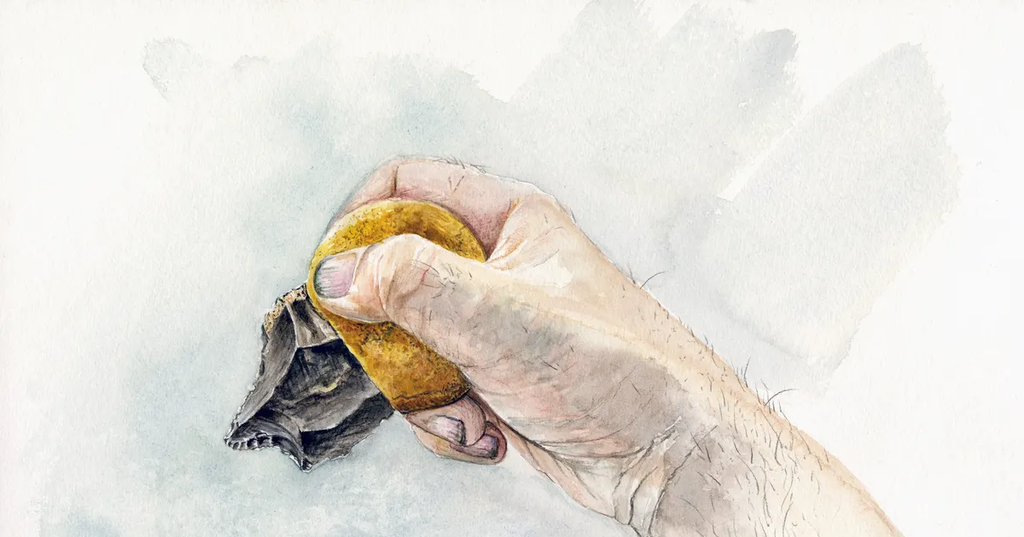 Unas Herramientas De Hace 40.000 Años Revelan Un Arma Secreta De Los Neandertales 65dc9eb812657.png