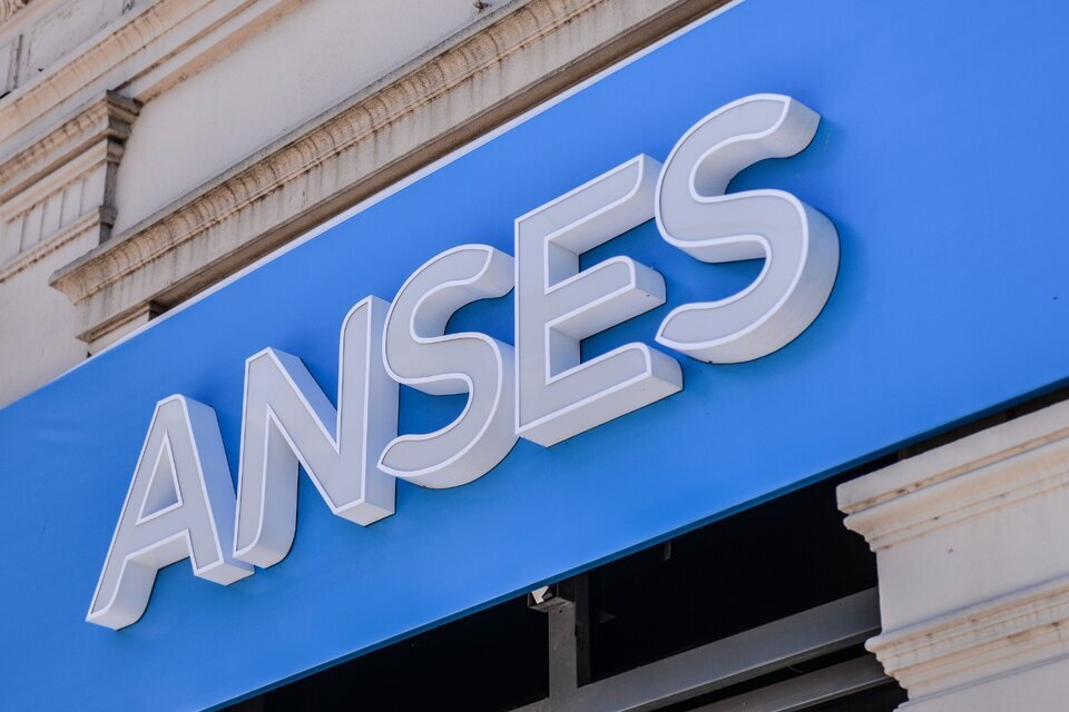 Anses Confirmó