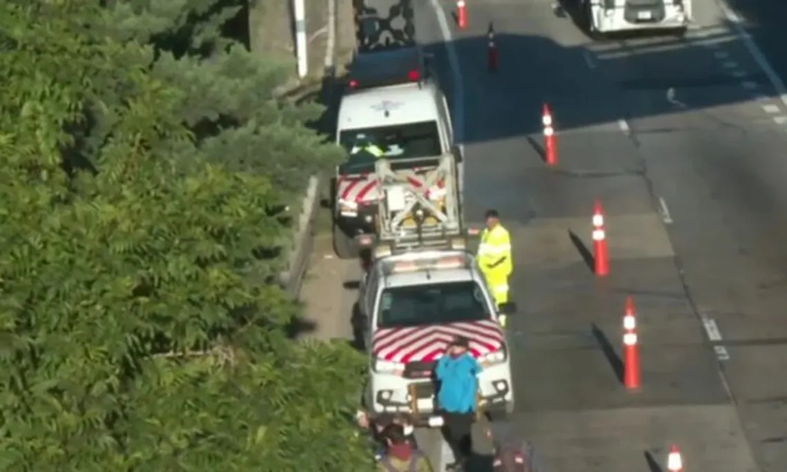 Un Delincuente Muerto